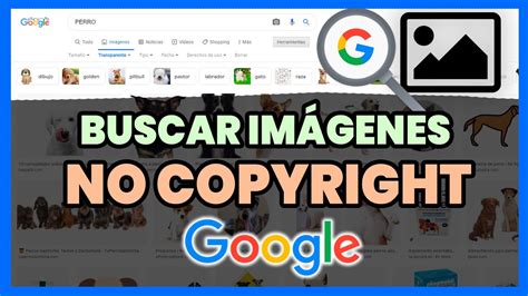 'fotos' Search .